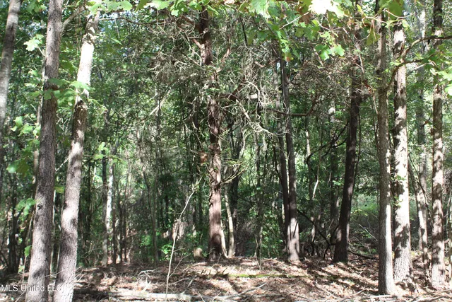 $87,500 | 7 Old Byhalia Road, Byhalia, MS 38611