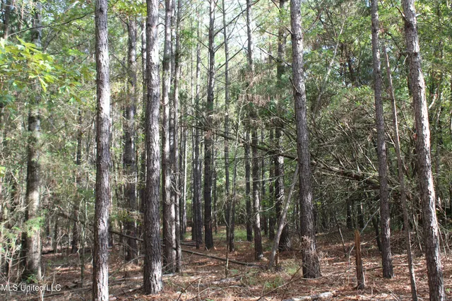 $87,500 | 7 Old Byhalia Road, Byhalia, MS 38611