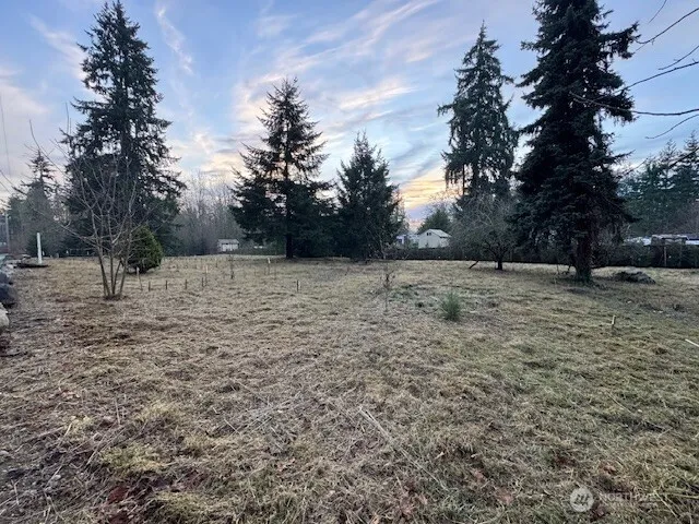 a view of a yard with trees