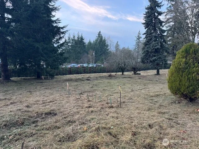 a backyard of a house