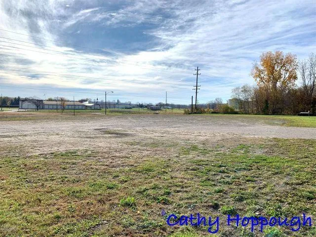 $125,000 | 261 South Dexter Street, Ionia, MI 48846