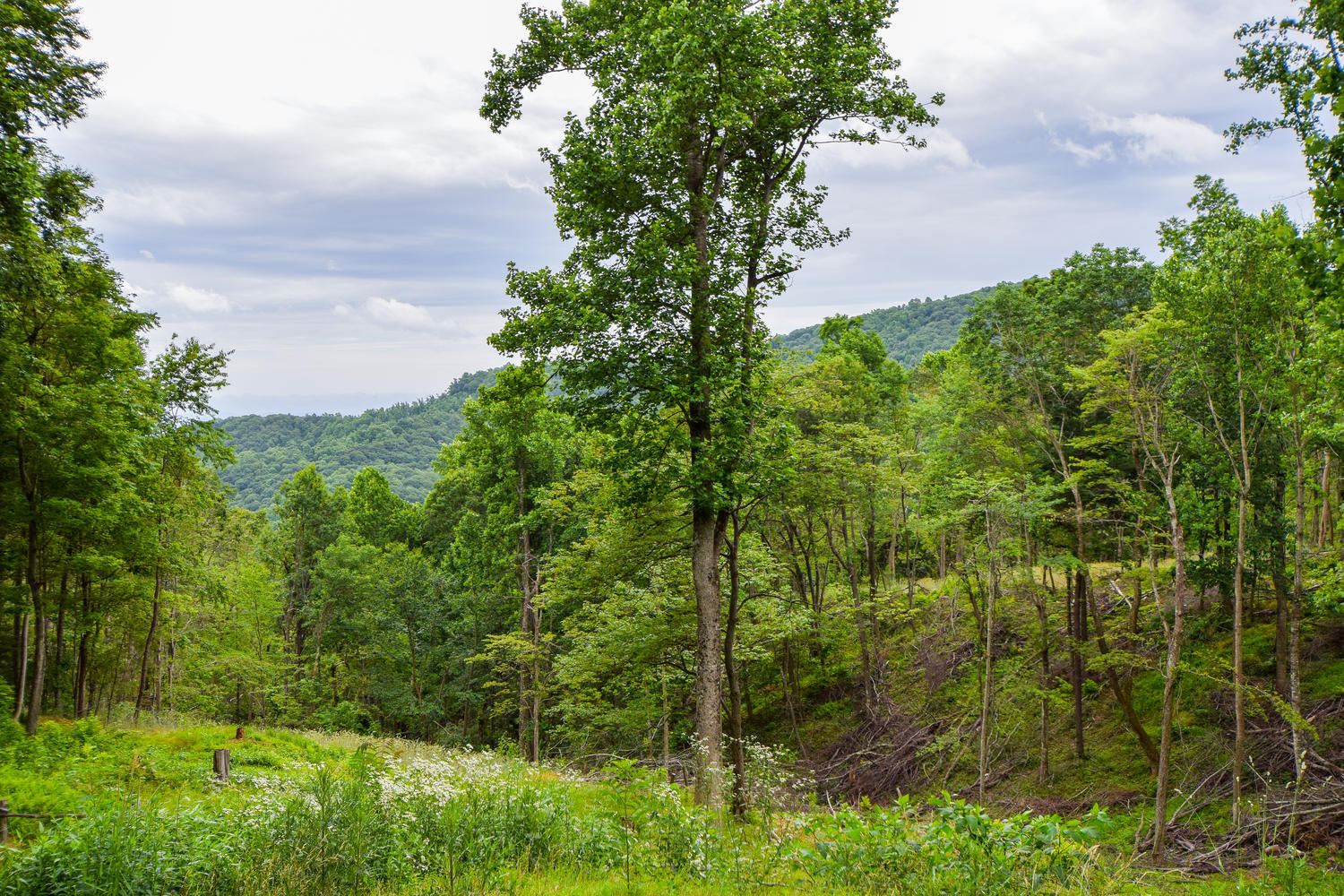 764 Locust Ridge Lane Callaway, VA 24067 - Photo 23 of 35 764 Locust Ridge Ln Callaway-large-022-2