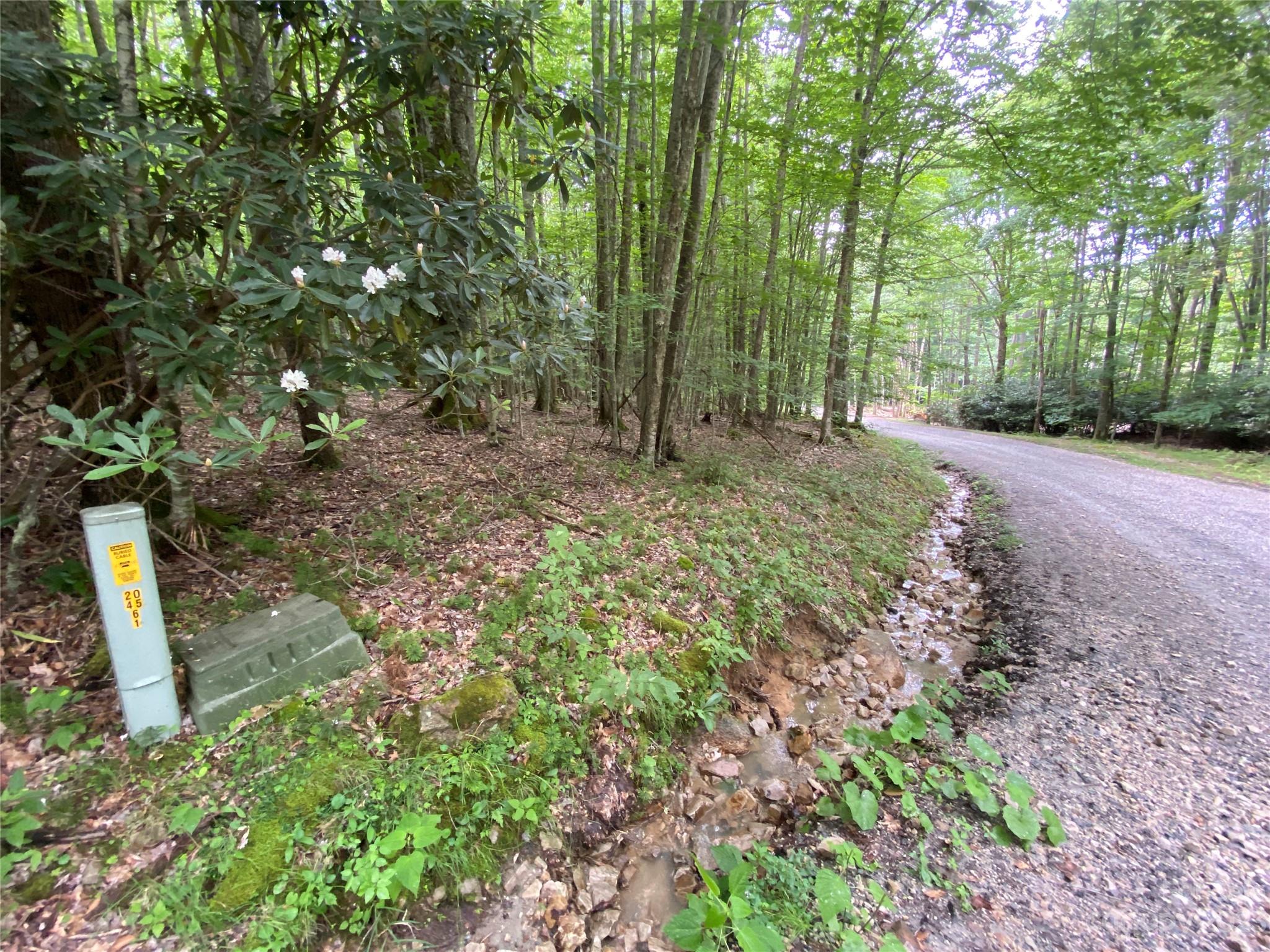 Tbd Buckeye Ridge Road, Unit 7 Beech Mountain, NC 28604 - Photo 2 of 2 Gallery Image 2