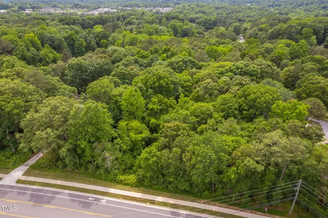 a view of a green field with lots of bushes