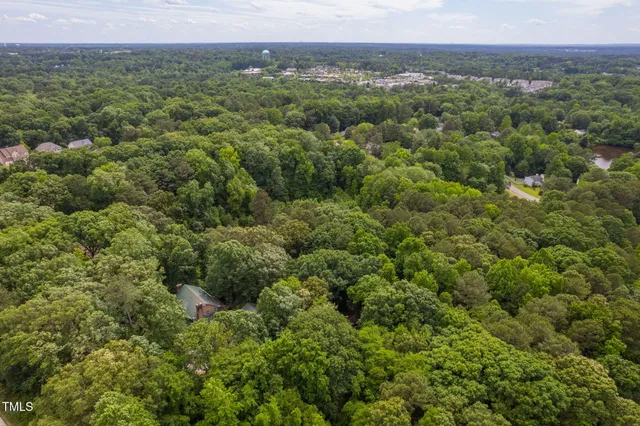 an aerial view of forest