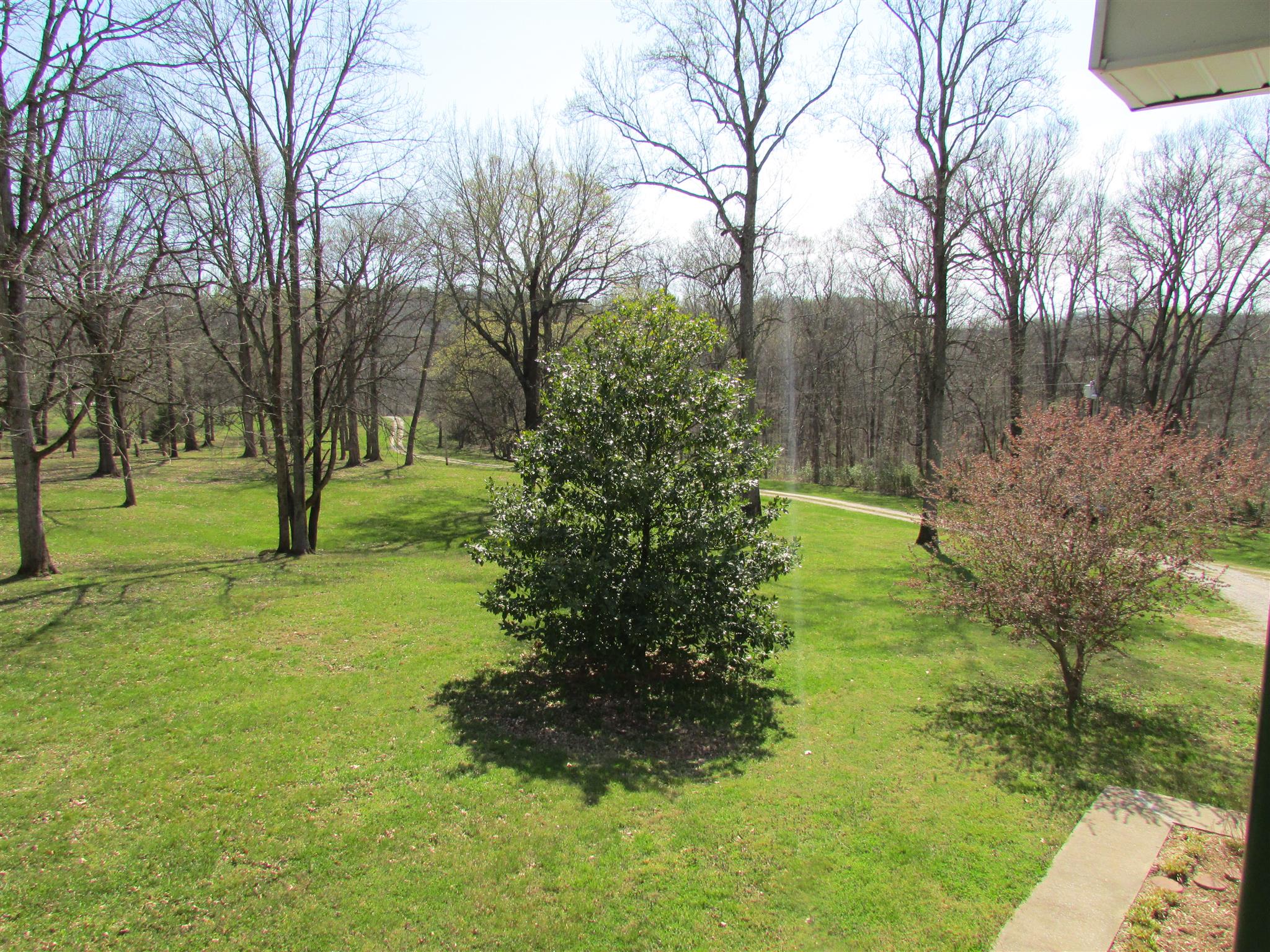 1550 Center Star Road Columbia, TN 38401 - Photo 18 of 30 a big yard with lots of green space and trees