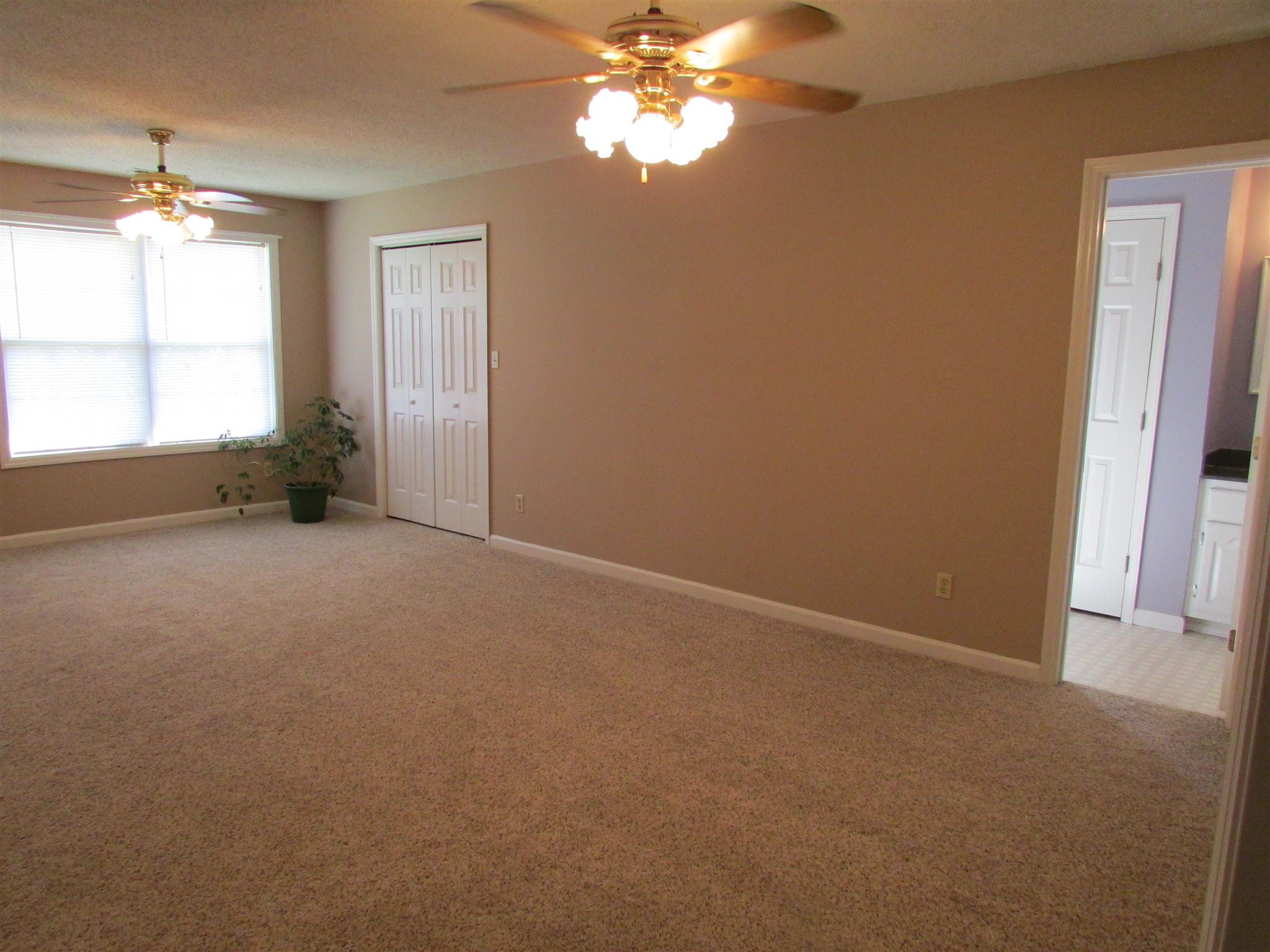 1550 Center Star Road Columbia, TN 38401 - Photo 27 of 30 an empty room with windows and fan