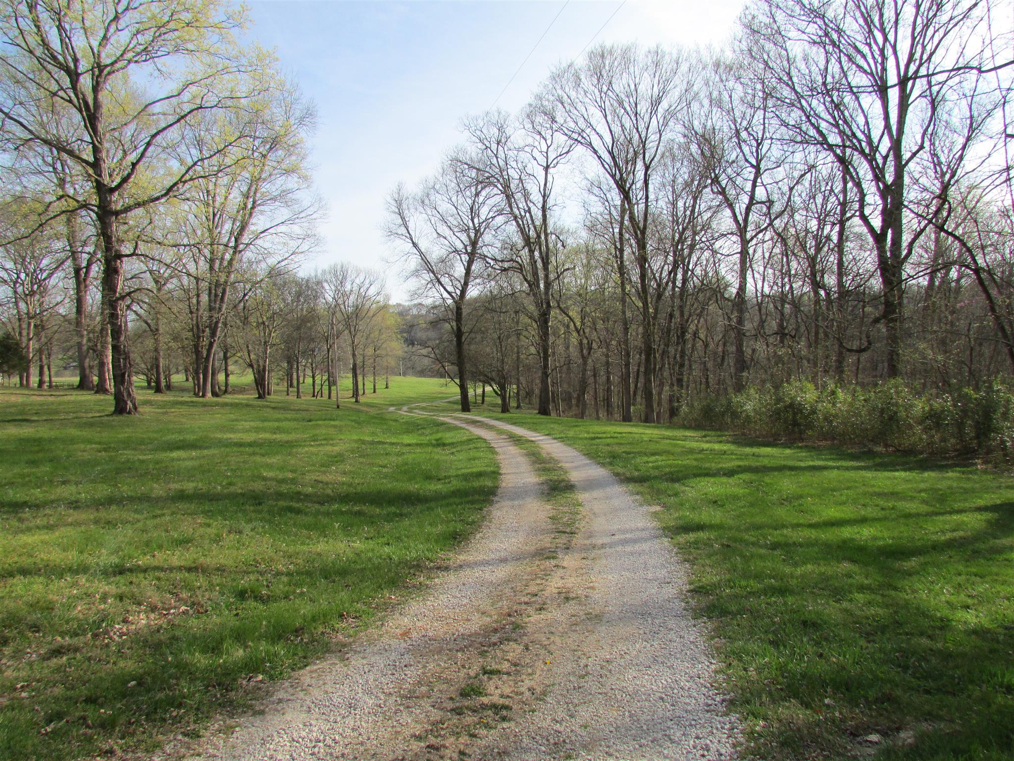 1550 Center Star Road Columbia, TN 38401 - Photo 29 of 30 a view of a park with large trees