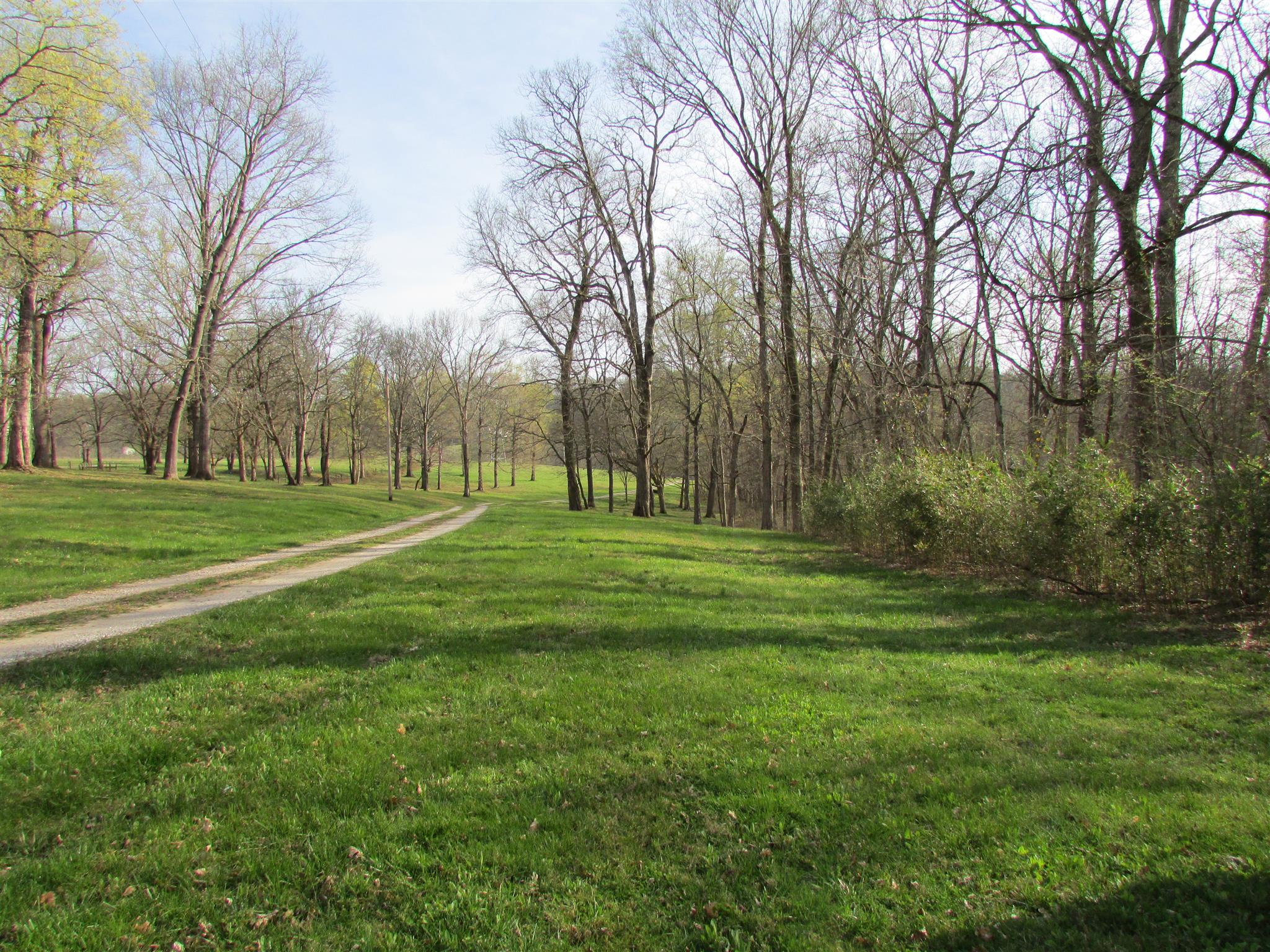 1550 Center Star Road Columbia, TN 38401 - Photo 30 of 30 a view of a park with large trees