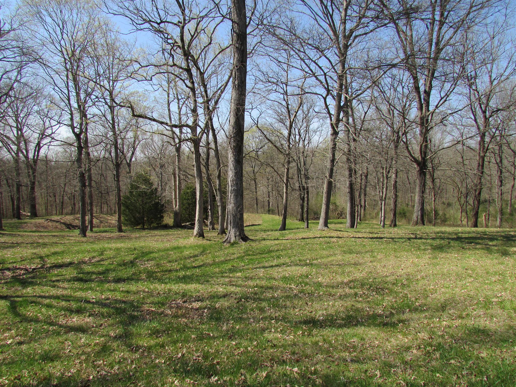 1550 Center Star Road Columbia, TN 38401 - Photo 4 of 30