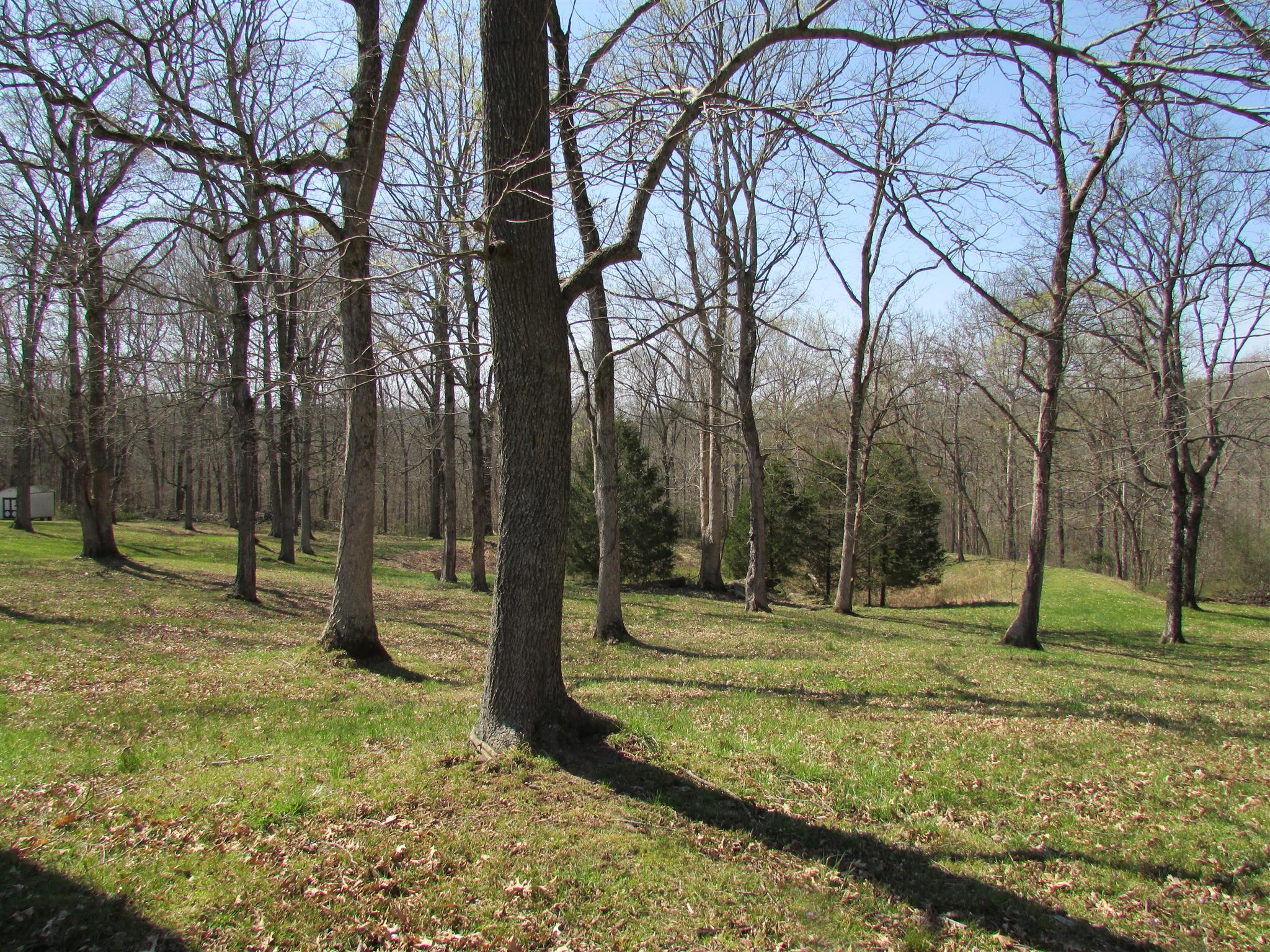 1550 Center Star Road Columbia, TN 38401 - Photo 6 of 30 a backyard of water with tall trees