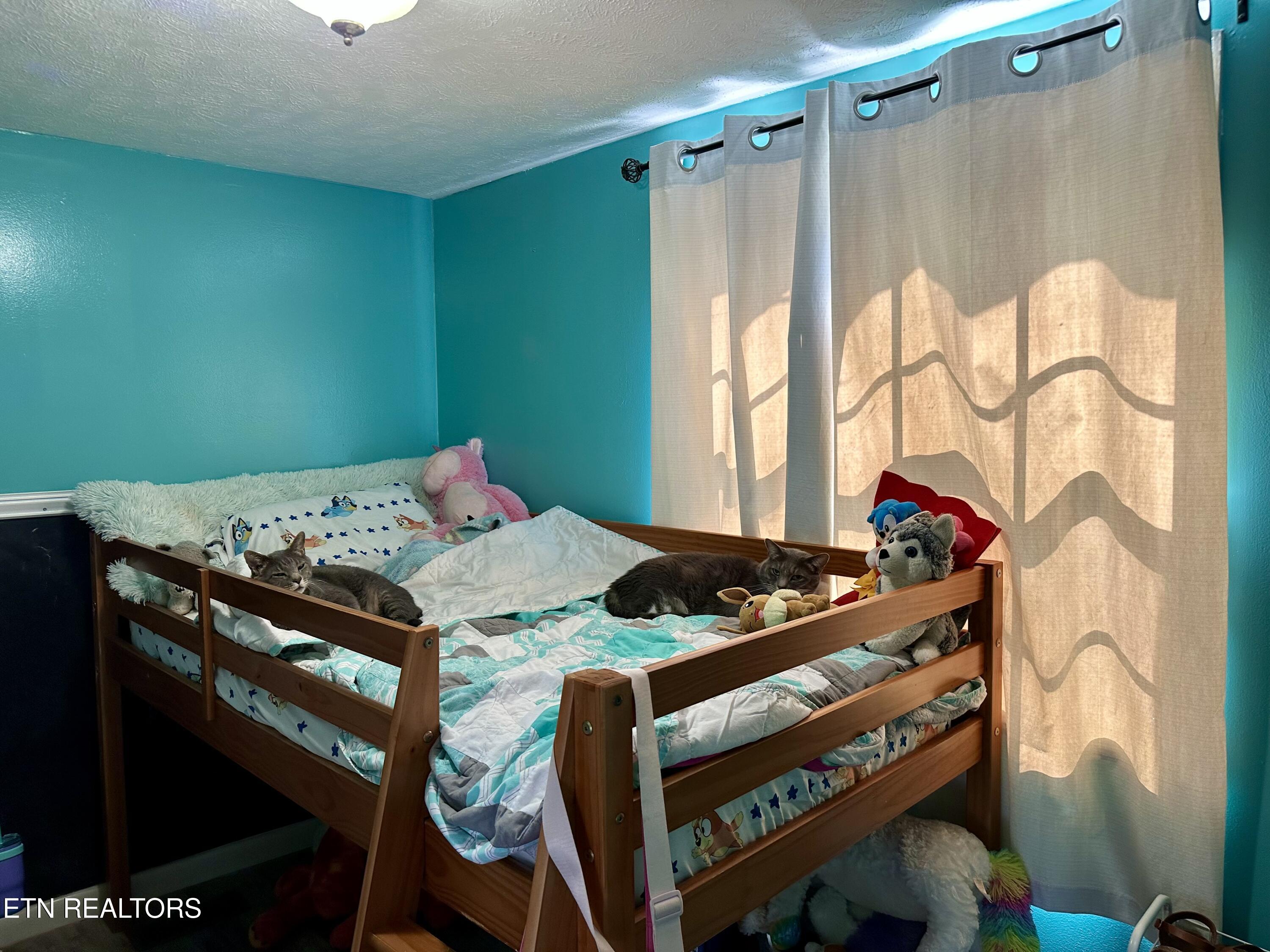 505 Cherokee Avenue Clinton, TN 37716 - Photo 21 of 32 IMG_7142