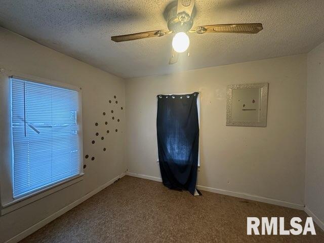 1215 County Line Road Carbondale, IL 62902 - Photo 9 of 17 Gallery Image 9