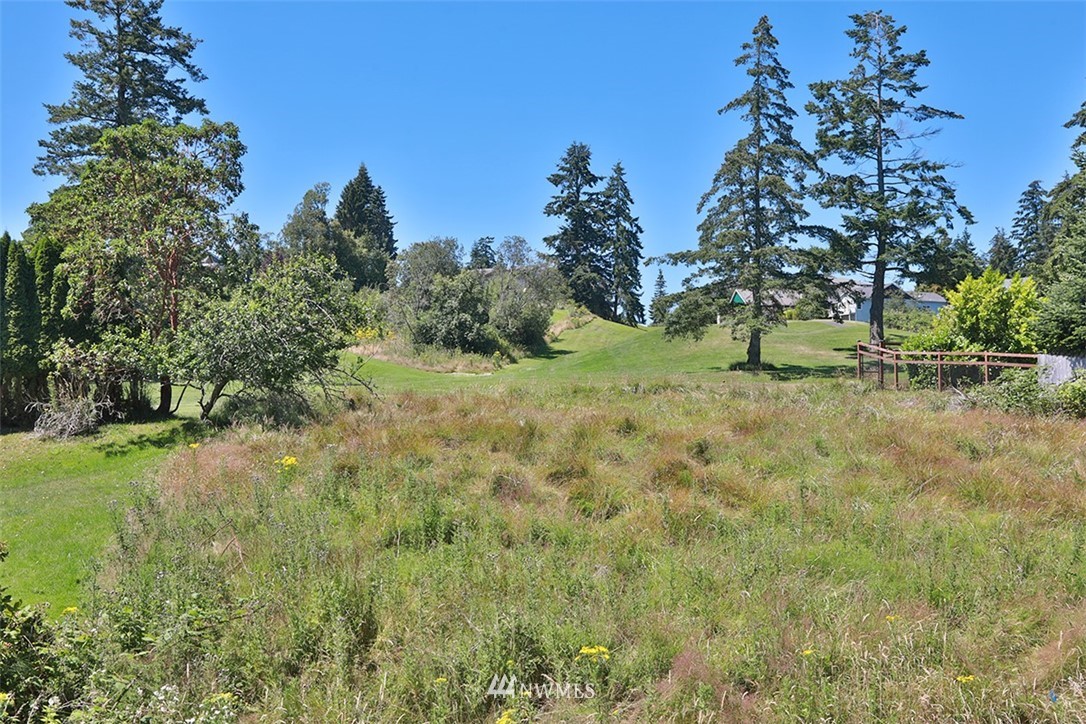15 Haines Road Freeland, WA 98249 - Photo 4 of 13 Gallery Image 4