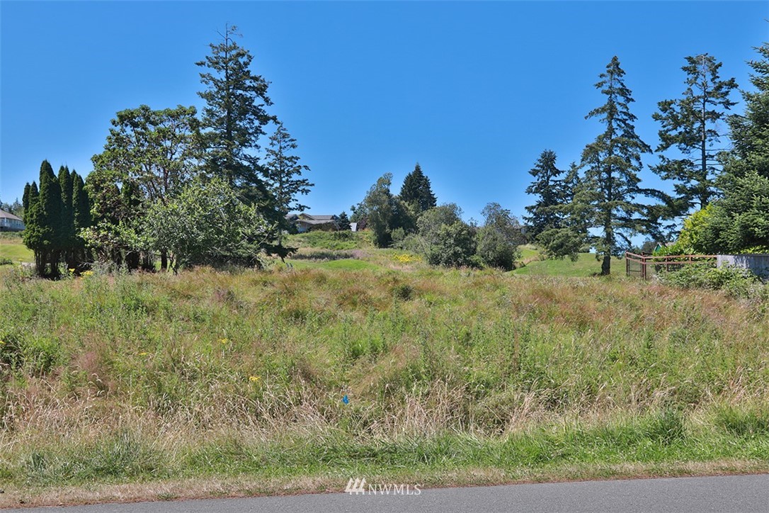 15 Haines Road Freeland, WA 98249 - Photo 5 of 13 Gallery Image 5