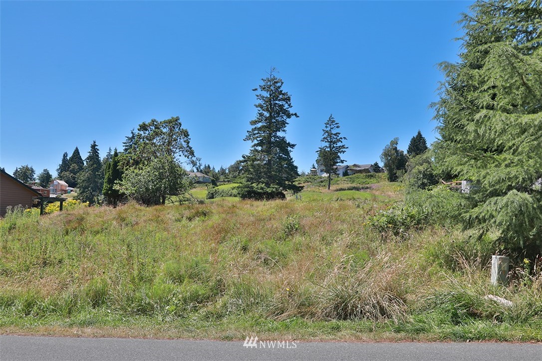 15 Haines Road Freeland, WA 98249 - Photo 6 of 13 Gallery Image 6