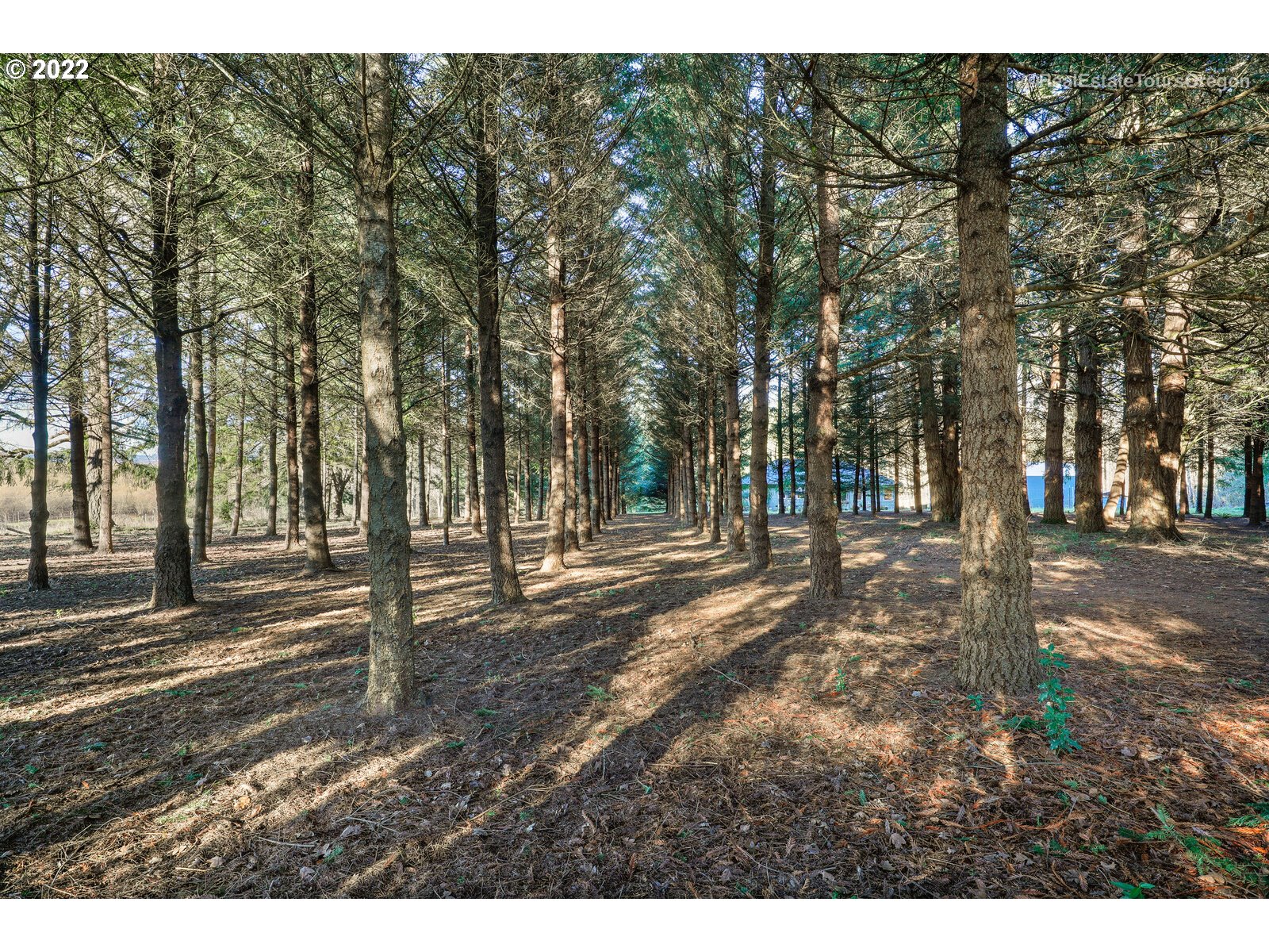 12380 Northeast Red Hills Road Newberg, OR 97132 - Photo 28 of 32 Gallery Image 28