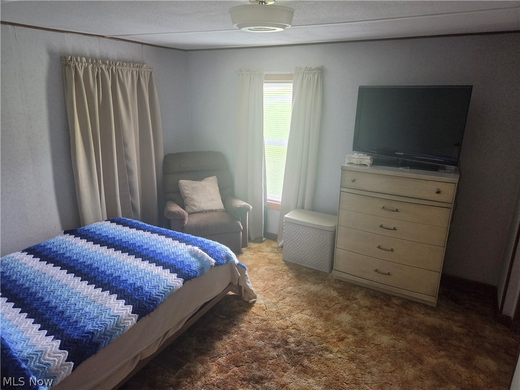 38147 Hunter Camp Road Lisbon, OH 44432 - Photo 6 of 15