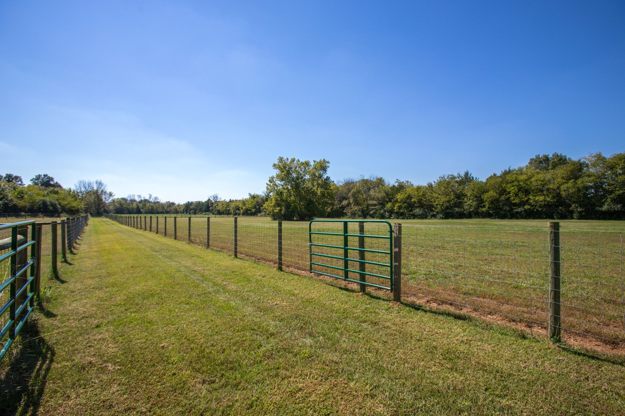 103 Heath Branch Road Chapel Hill, TN 37034 - Photo 32 of 49 a view of lake with a yard