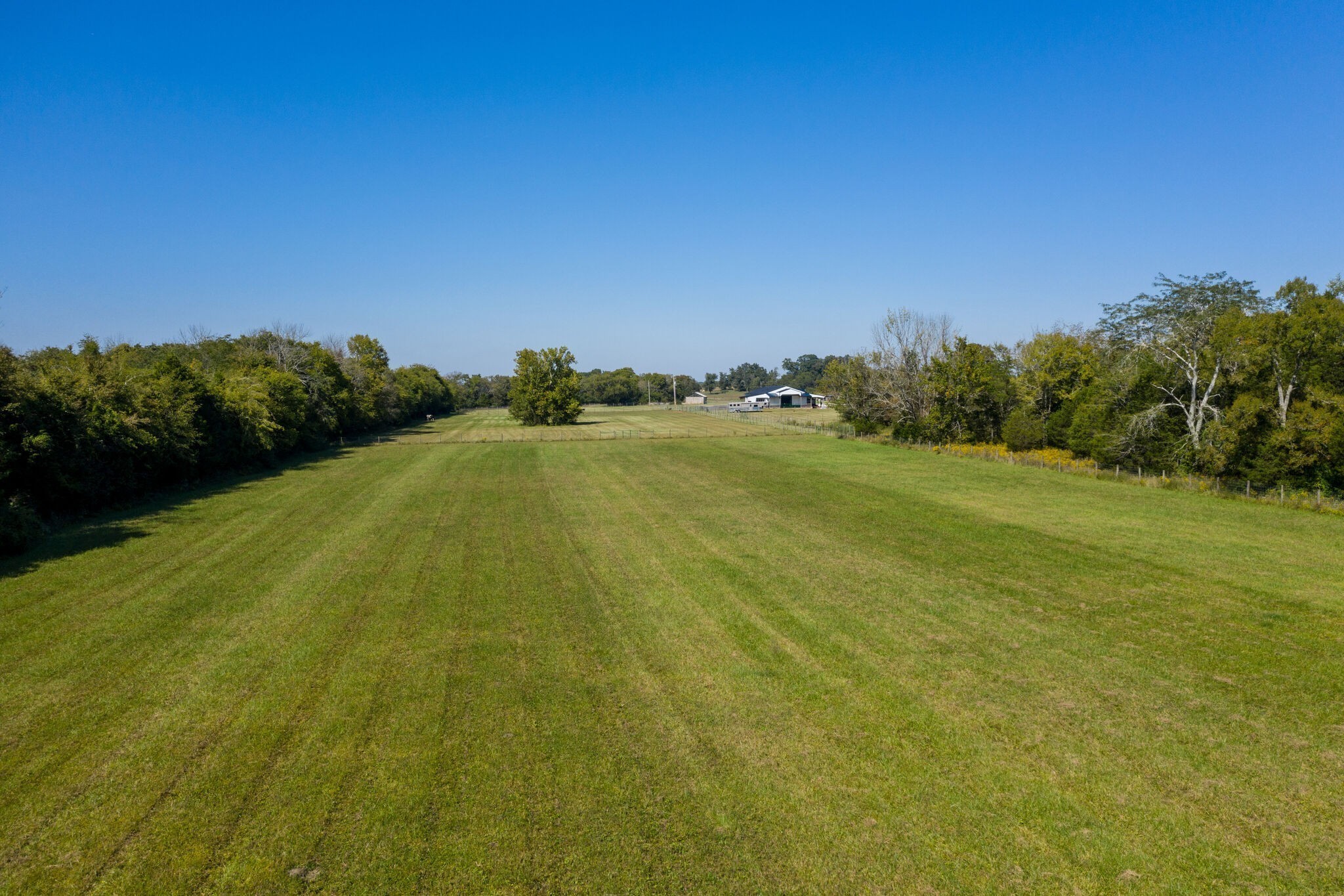 103 Heath Branch Road Chapel Hill, TN 37034 - Photo 36 of 49 a view of field with trees in background