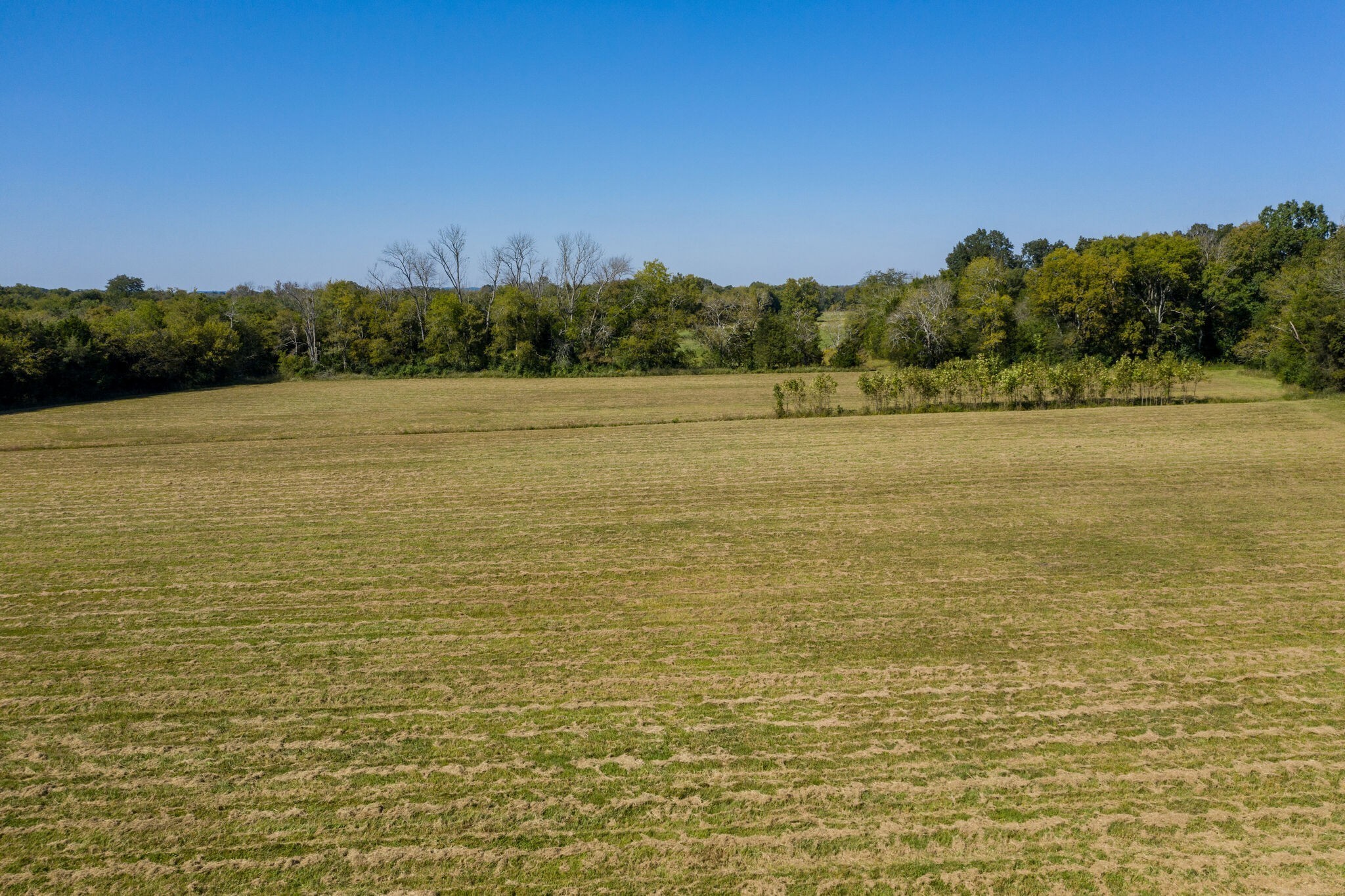 103 Heath Branch Road Chapel Hill, TN 37034 - Photo 38 of 49 a view of an ocean