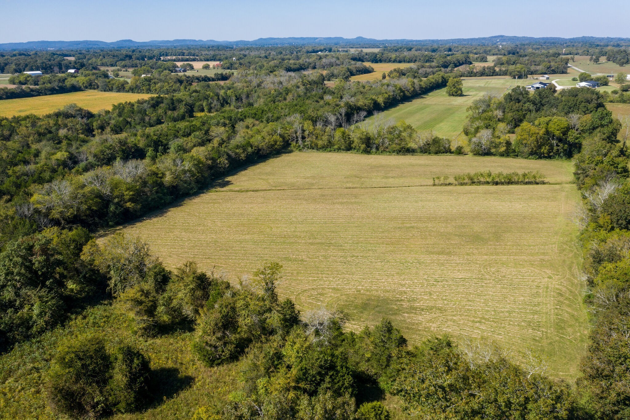 103 Heath Branch Road Chapel Hill, TN 37034 - Photo 39 of 49 a view of lake and mountain