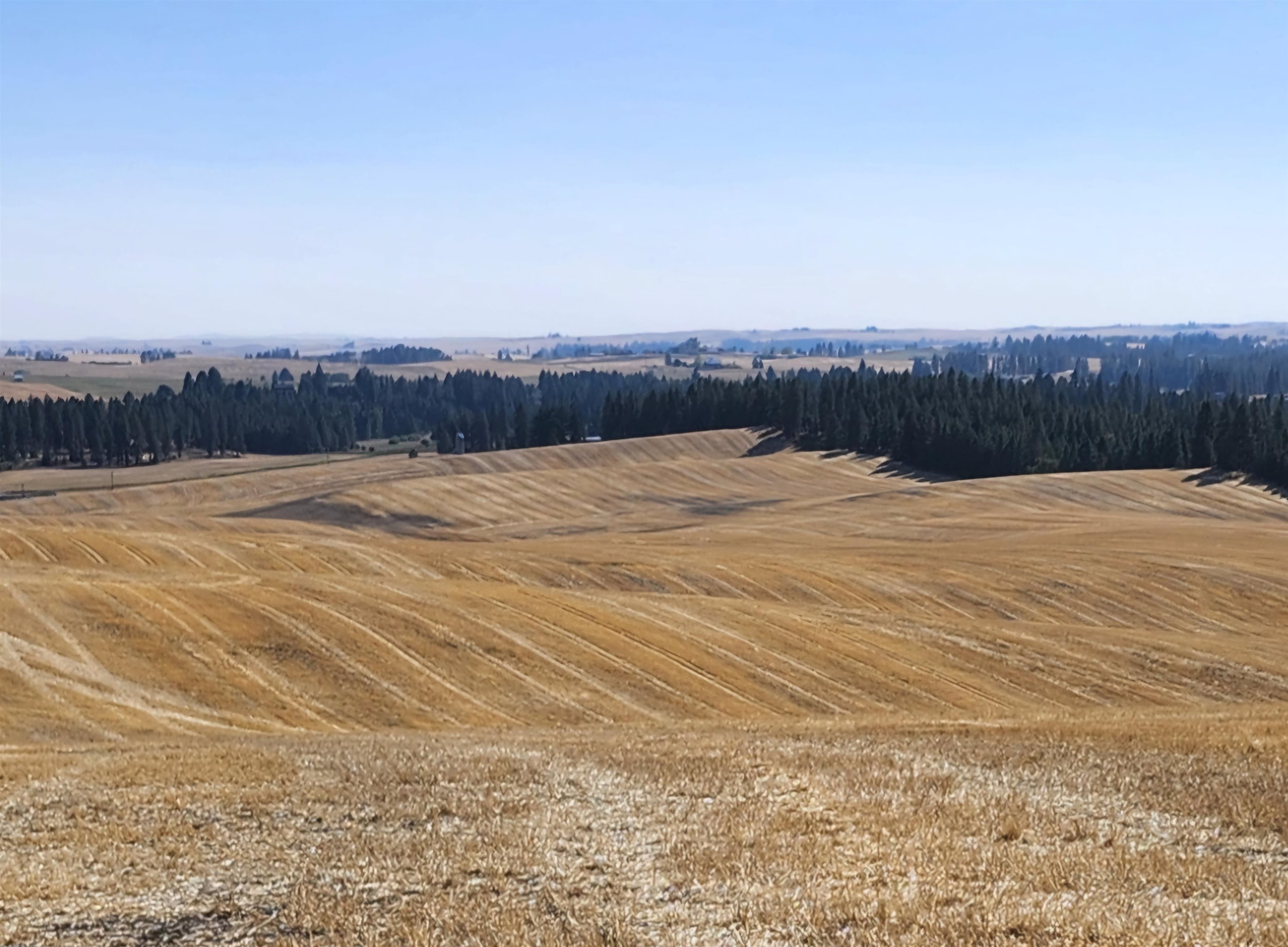 8006 South Jackson Road Mica, WA 99023 - Photo 12 of 12