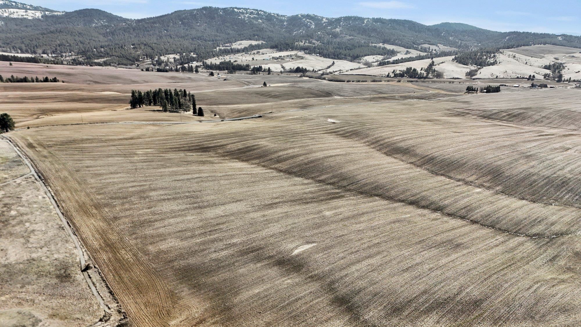 8006 South Jackson Road Mica, WA 99023 - Photo 4 of 12