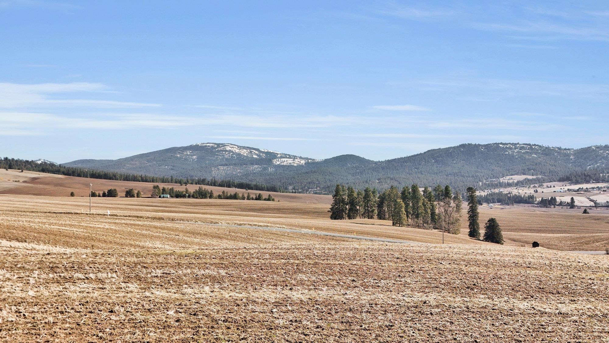 8006 South Jackson Road Mica, WA 99023 - Photo 5 of 12