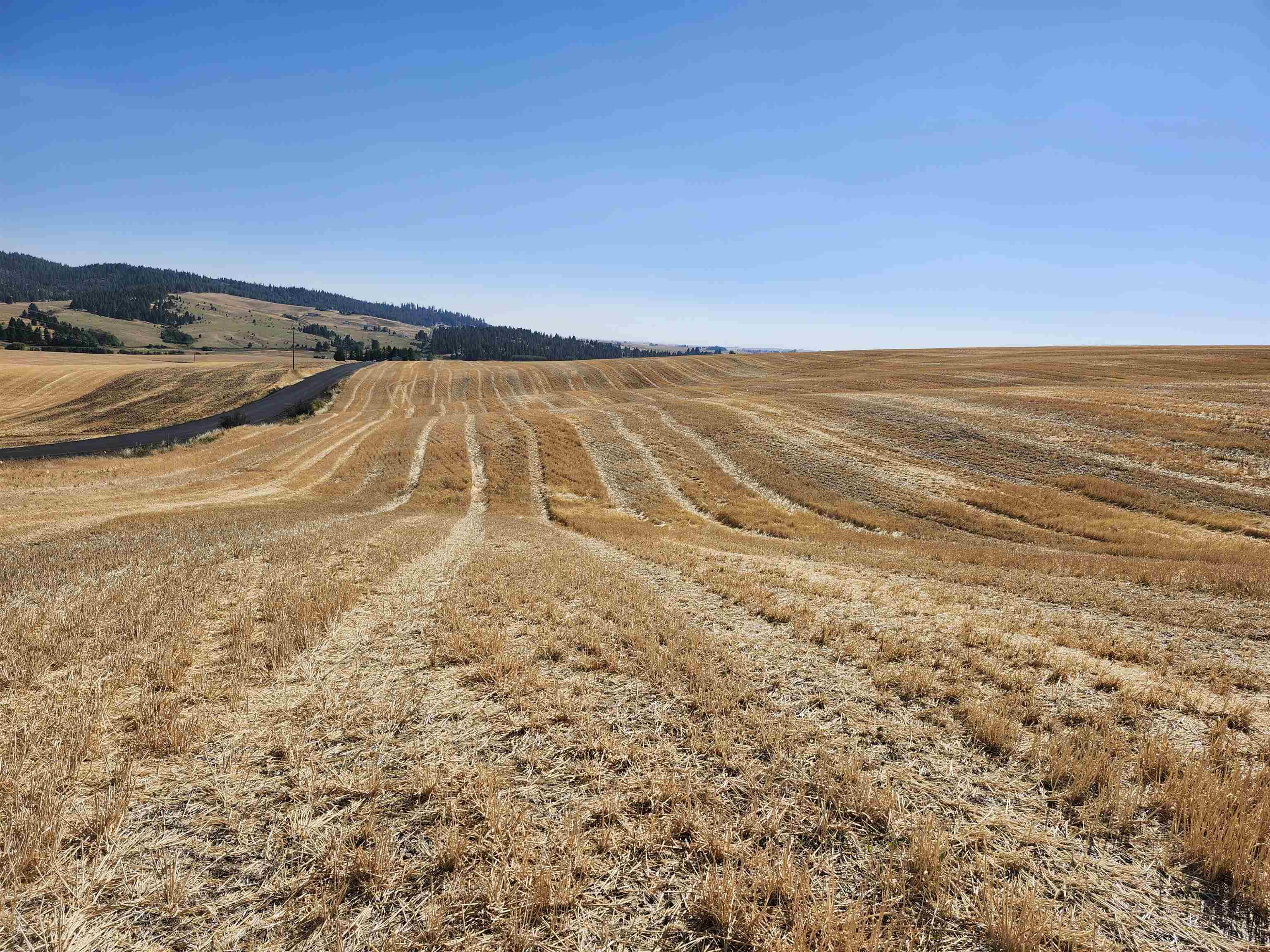 8006 South Jackson Road Mica, WA 99023 - Photo 9 of 12