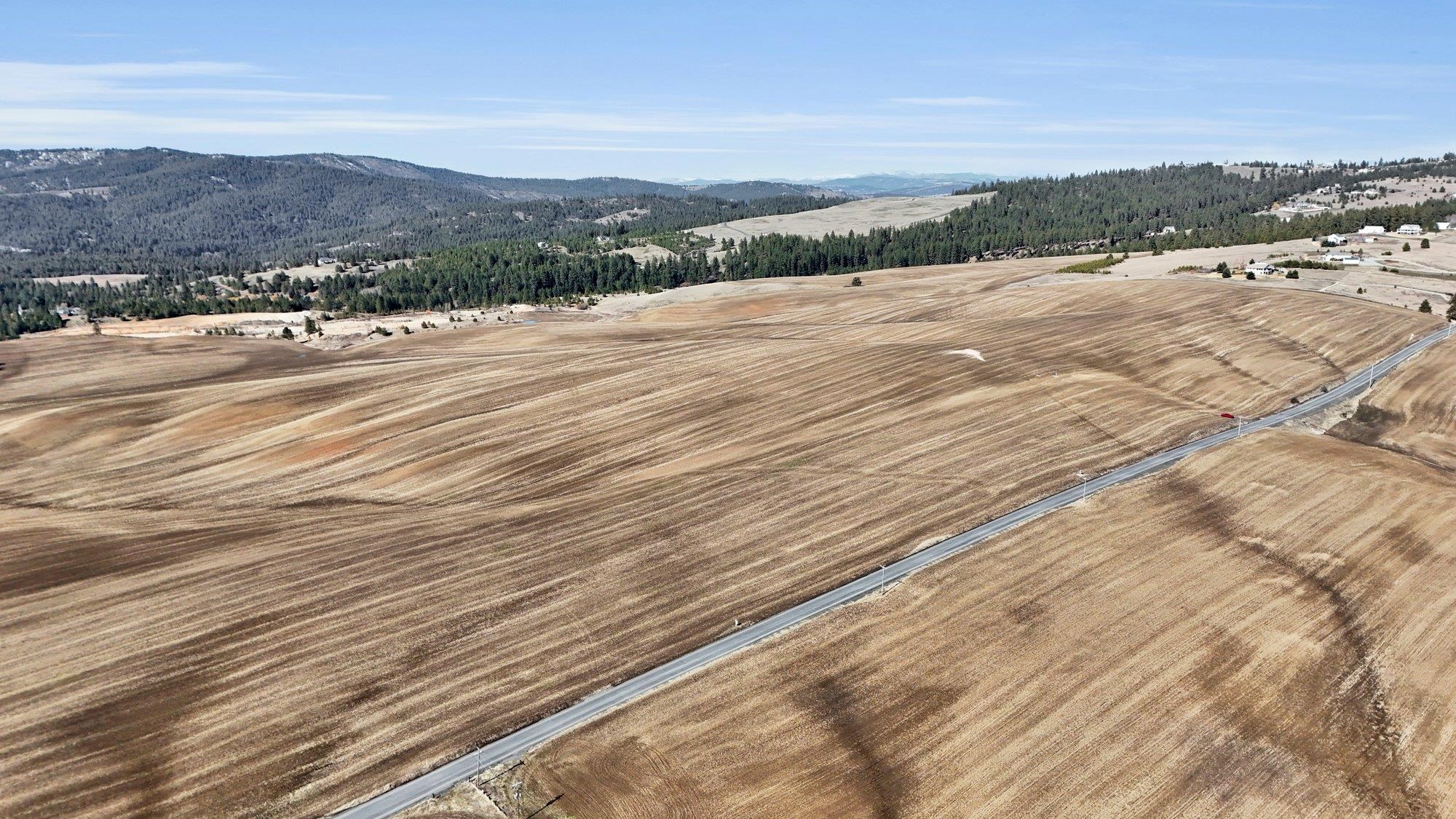 8006 South Jackson Road Mica, WA 99023 - Photo 10 of 12