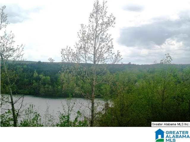 30 Stillwater Road, Unit 1 Double Springs, AL 35553 - Photo 1 of 2