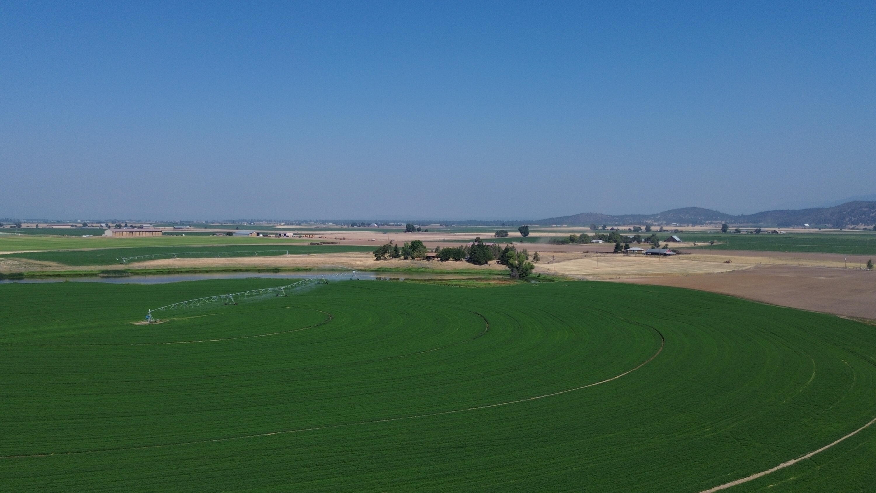 540-090 Little Valley Road McArthur, CA 96056 - Photo 14 of 63 DJI_0486
