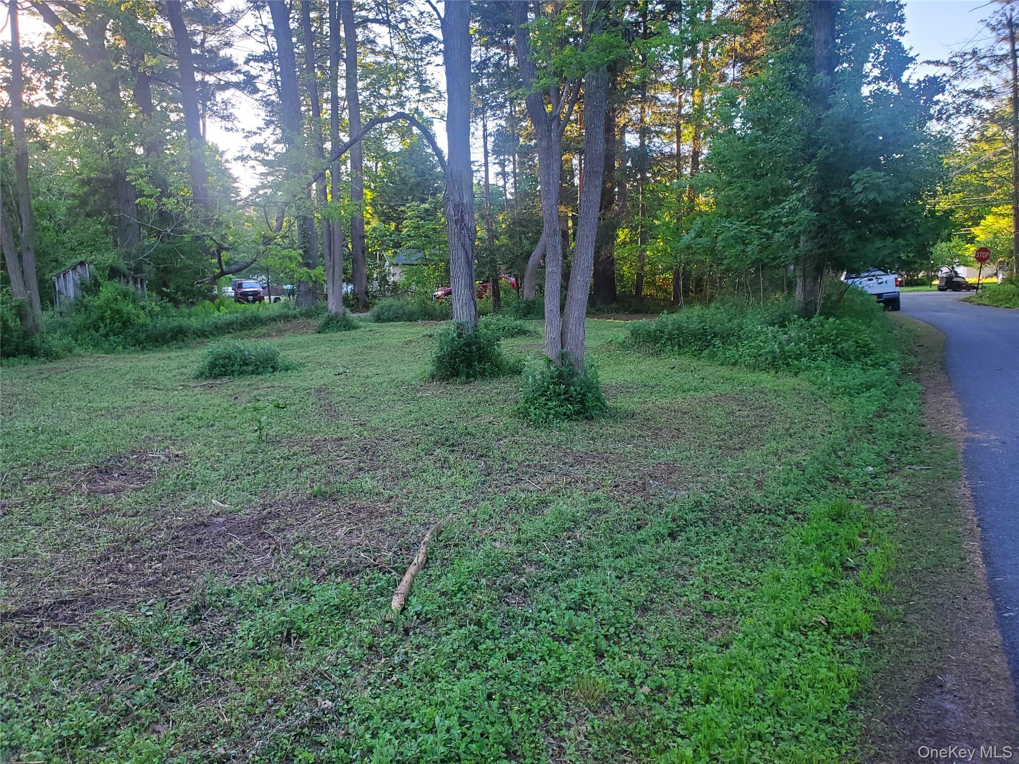 6-8 Grove Street Godeffroy, NY 12729 - Photo 3 of 6
