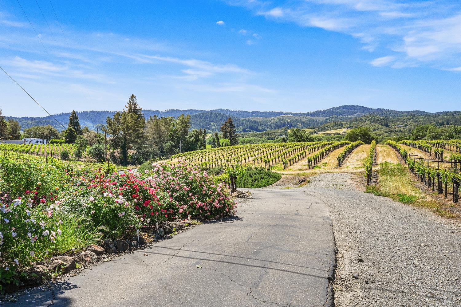 5143 Dry Creek Road Healdsburg, CA 95448 - Photo 82 of 85