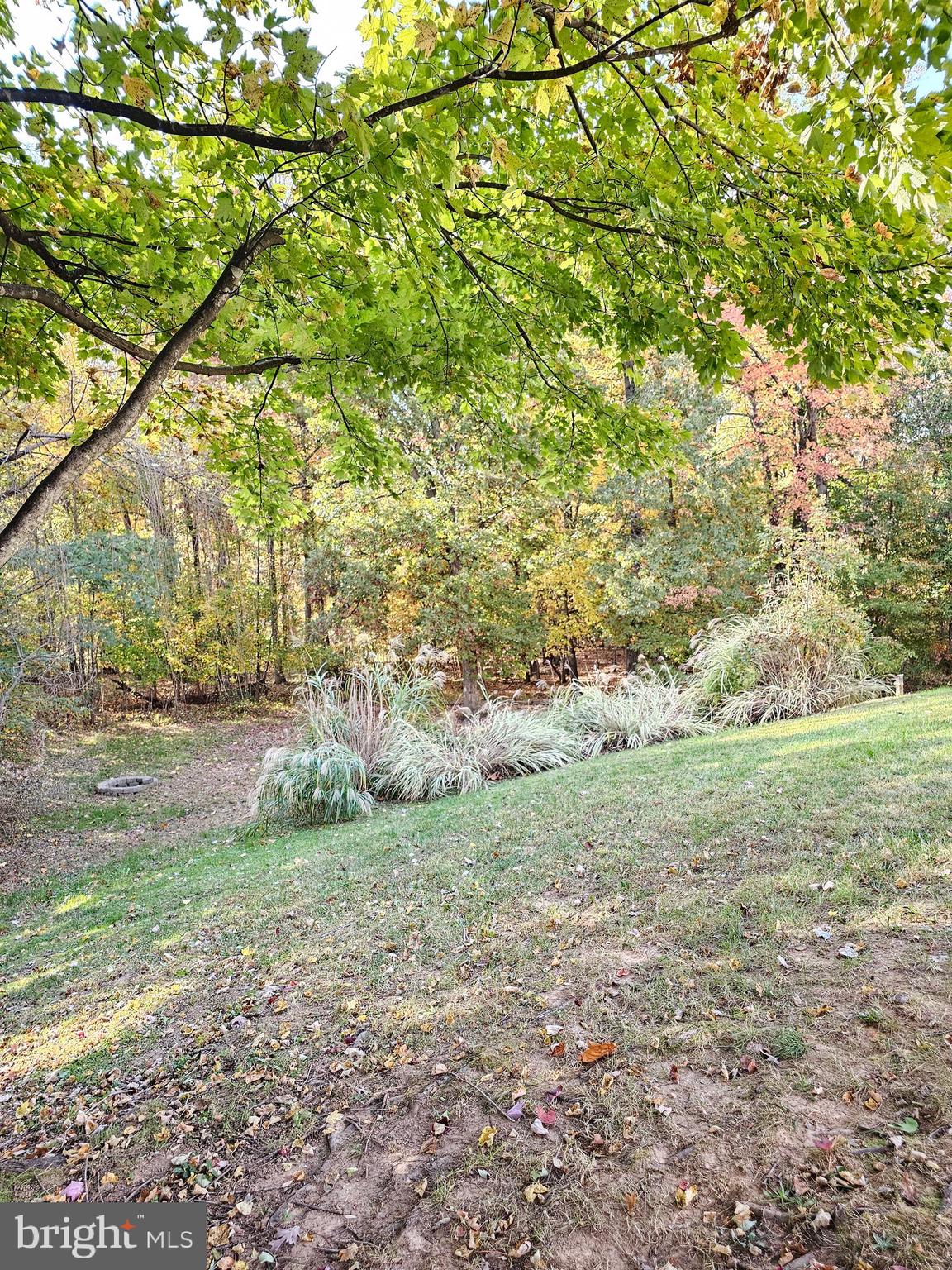 4717 Rossford Circle Rosedale, MD 21237 - Photo 5 of 67 Your extended yard