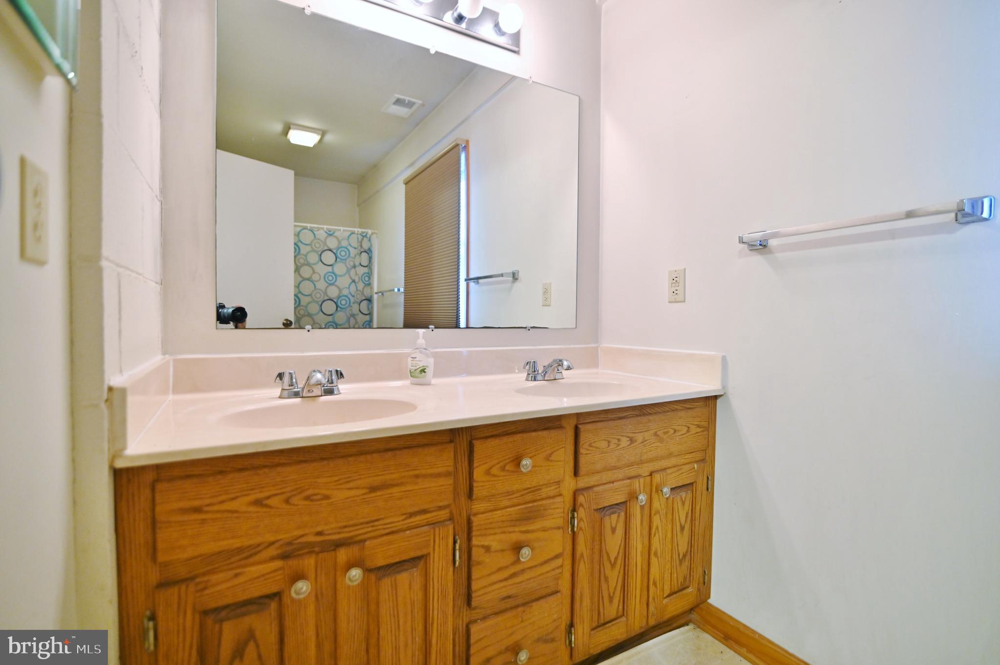67 Plum Tree Lane Fort Valley, VA 22652 - Photo 29 of 47 a bathroom with a sink double vanity and a mirror