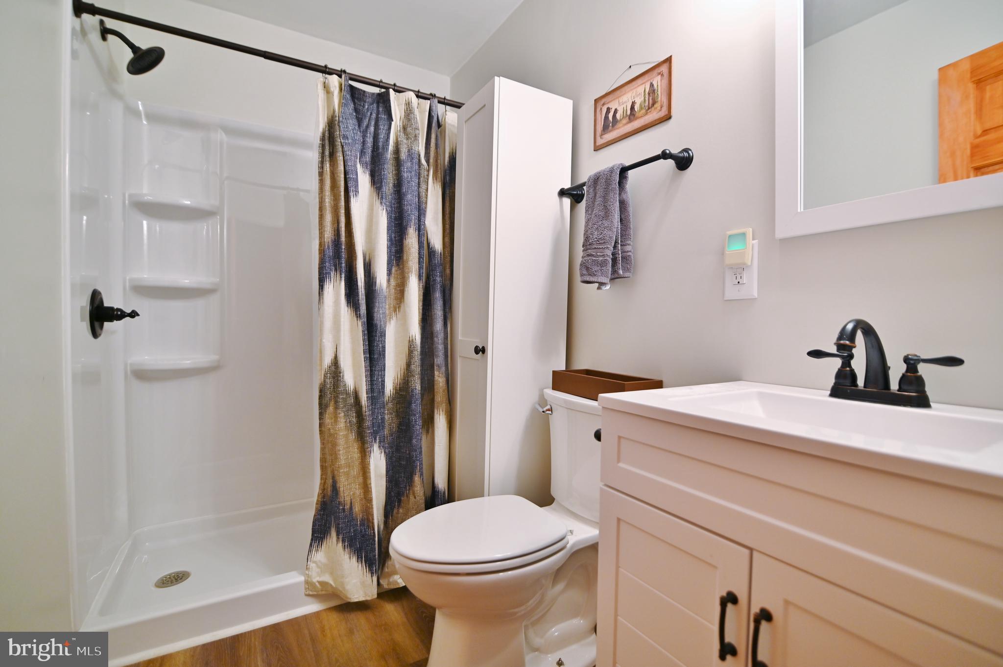 67 Plum Tree Lane Fort Valley, VA 22652 - Photo 37 of 47 a bathroom with a shower toilet and sink