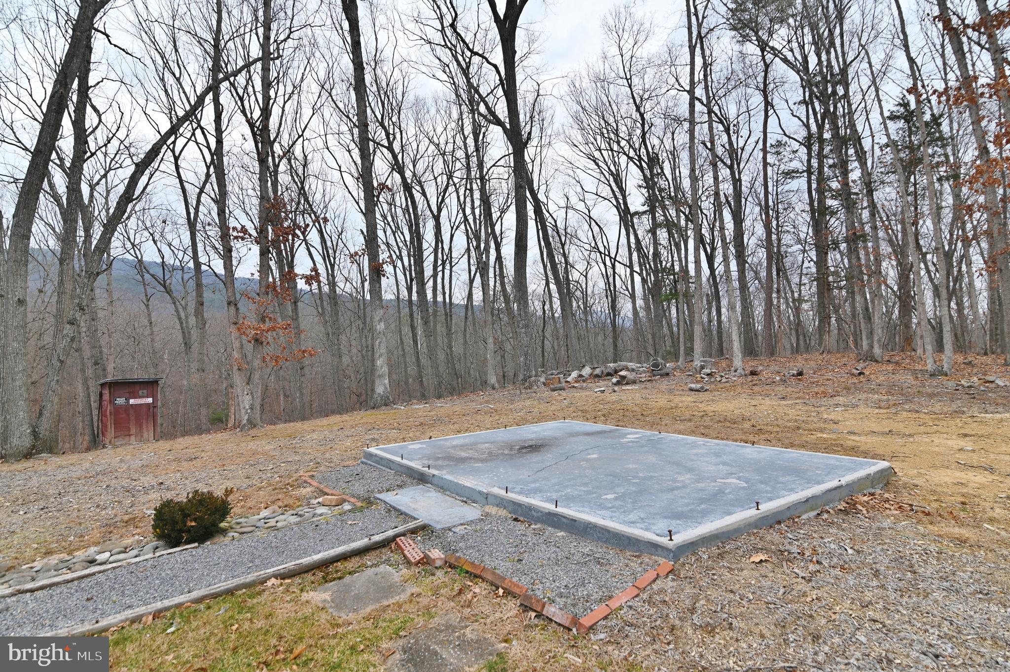 67 Plum Tree Lane Fort Valley, VA 22652 - Photo 43 of 47 a view of a backyard with large trees