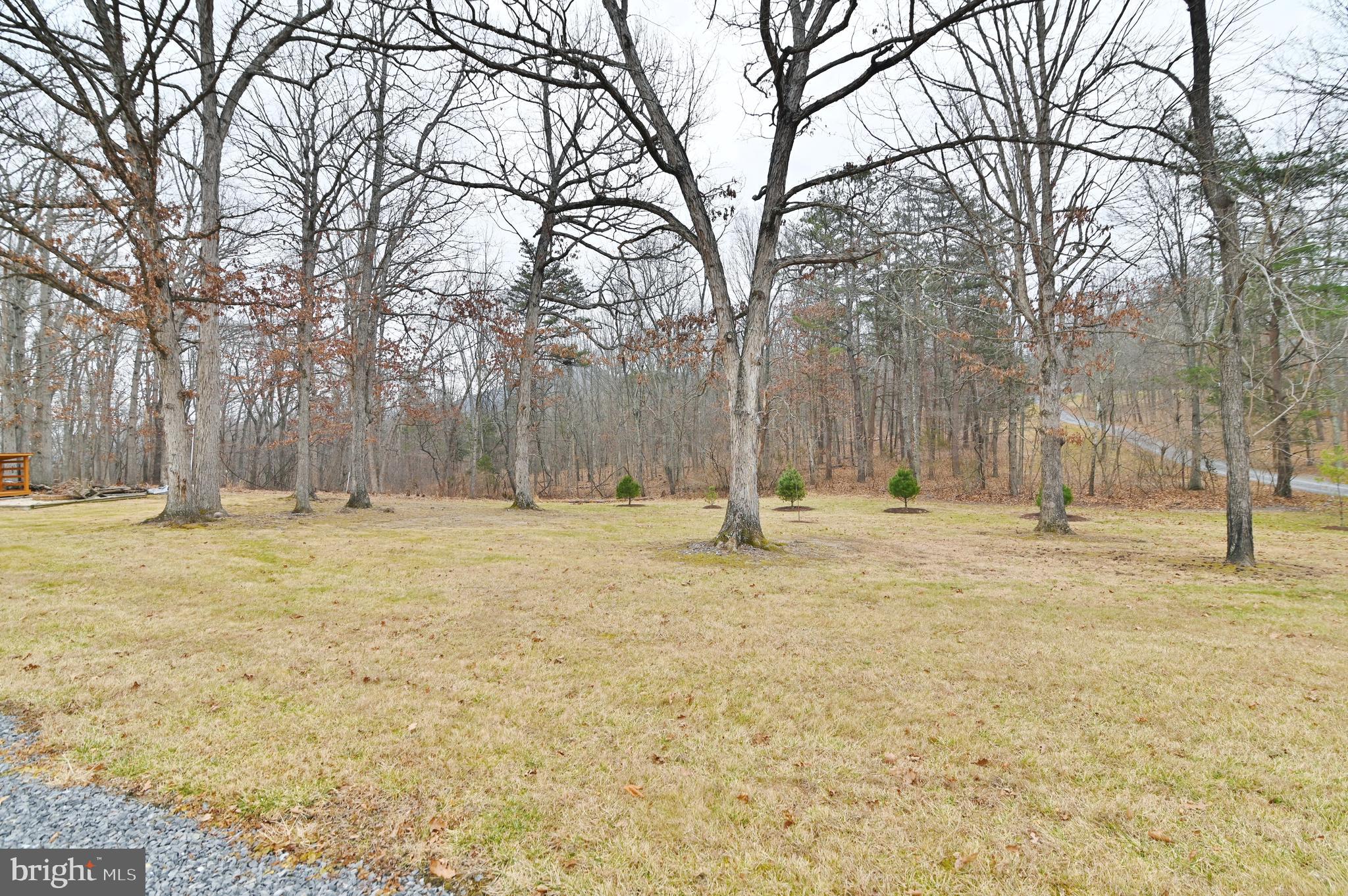 67 Plum Tree Lane Fort Valley, VA 22652 - Photo 46 of 47 a view of yard covered with snow