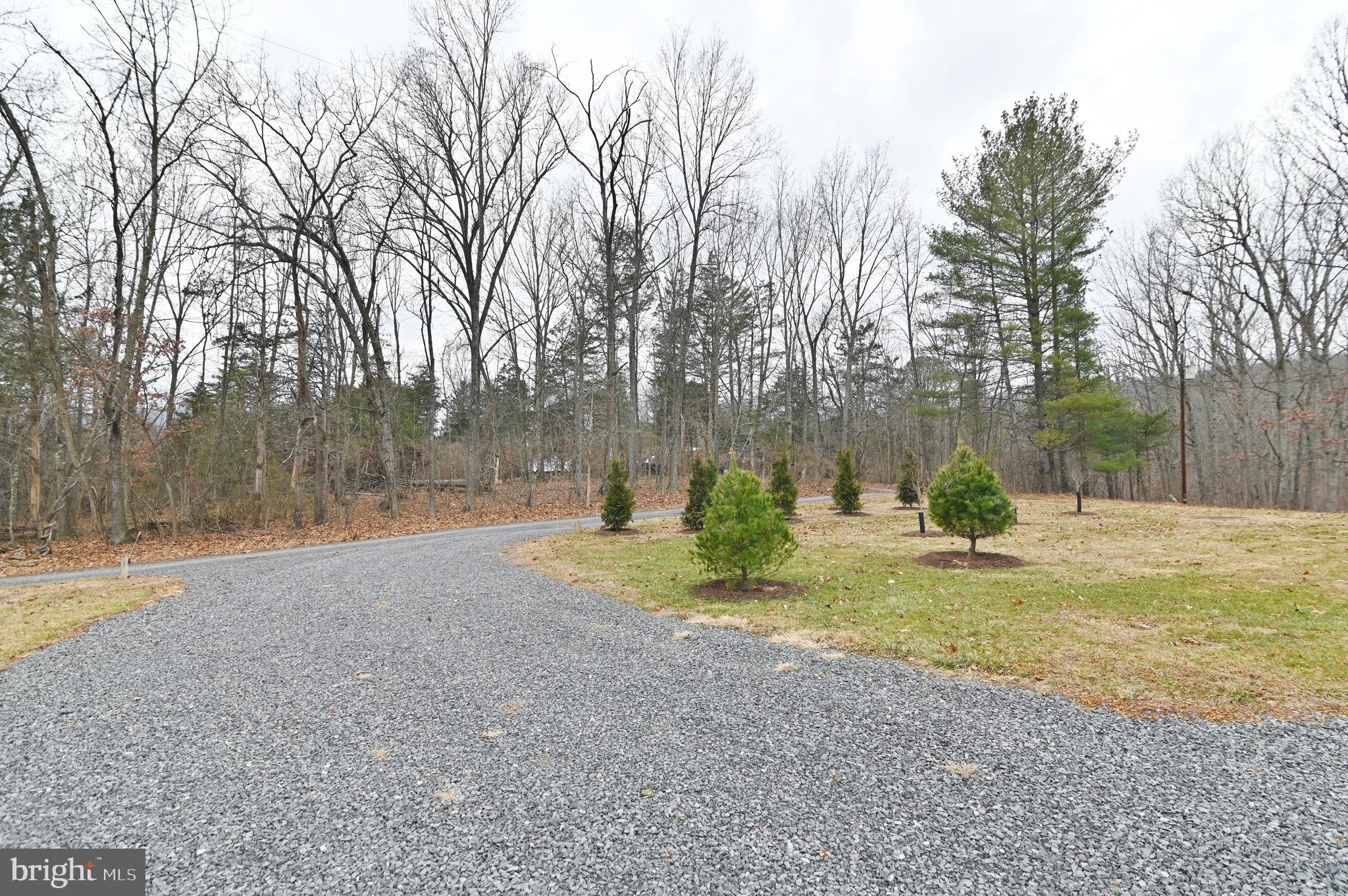 67 Plum Tree Lane Fort Valley, VA 22652 - Photo 47 of 47 a view of a yard with large trees