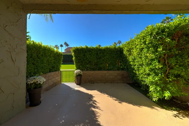 a view of a yard with potted plants