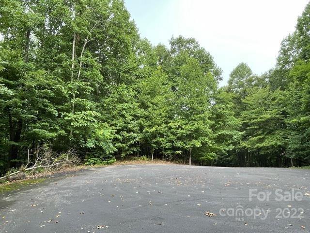 98-99 Sky Ridge Drive Bostic, NC 28018 - Photo 2 of 5 a view of a field with plants and trees