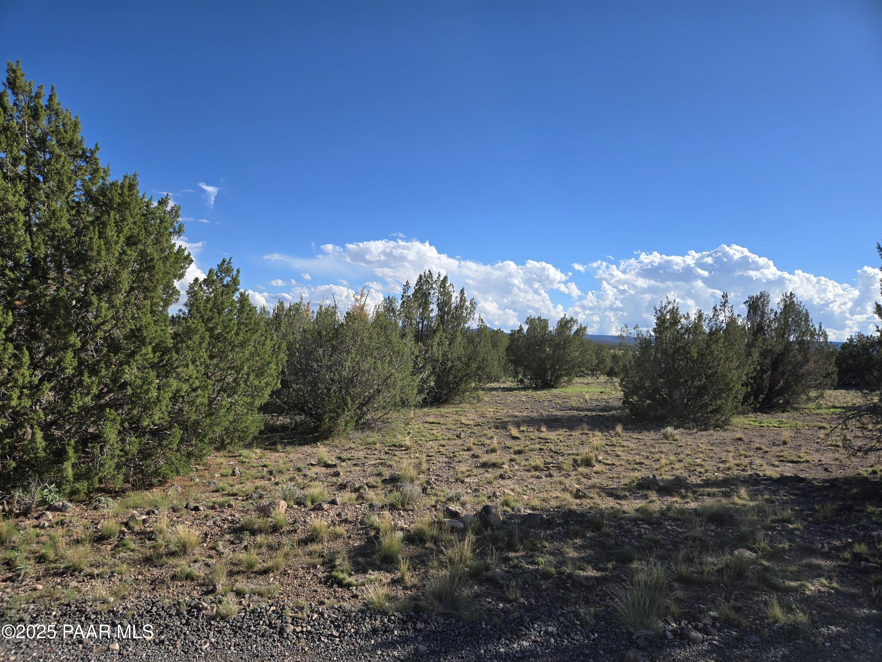 280 A Tanner Road Ash Fork, AZ 86320 - Photo 4 of 8 a view of a yard