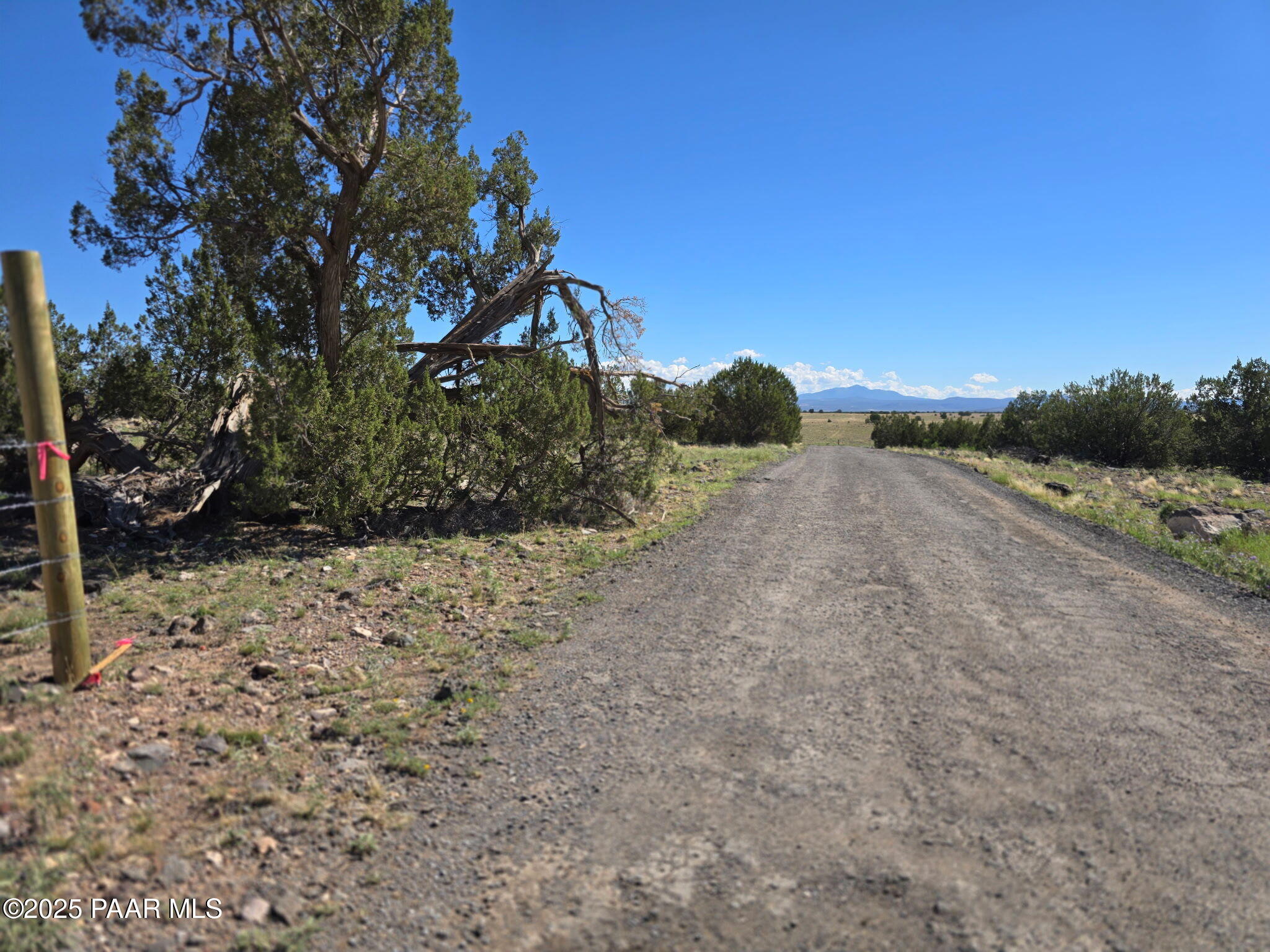 280 A Tanner Road Ash Fork, AZ 86320 - Photo 7 of 8 a view of a dry yard with trees