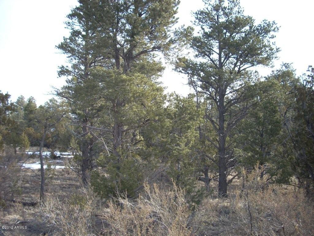 3329 Saw Mill Ridge Loop, Unit 102 Heber, AZ 85928 - Photo 1 of 11 1