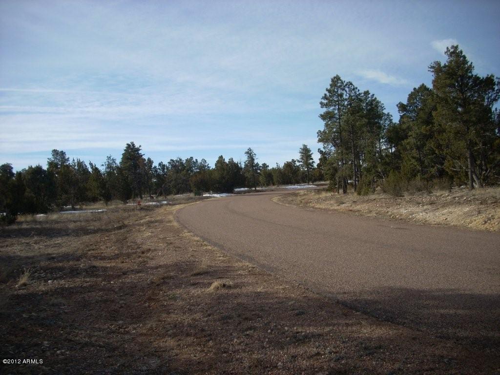 3329 Saw Mill Ridge Loop, Unit 102 Heber, AZ 85928 - Photo 11 of 11 11