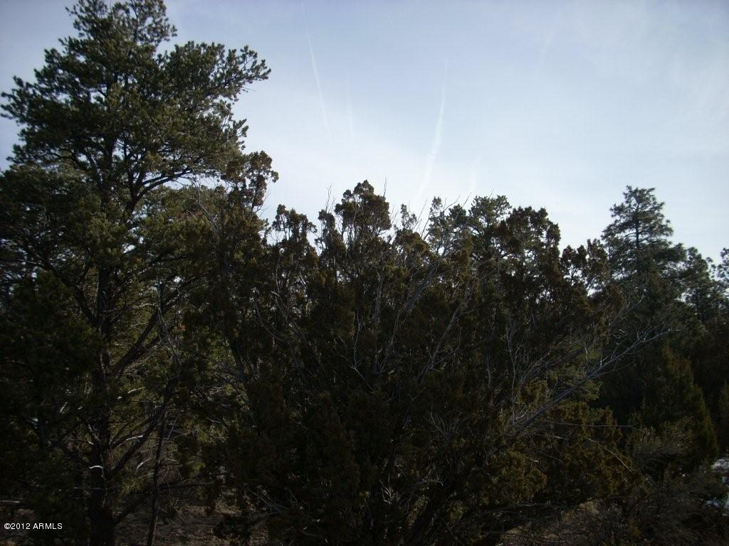 3329 Saw Mill Ridge Loop, Unit 102 Heber, AZ 85928 - Photo 3 of 11 3