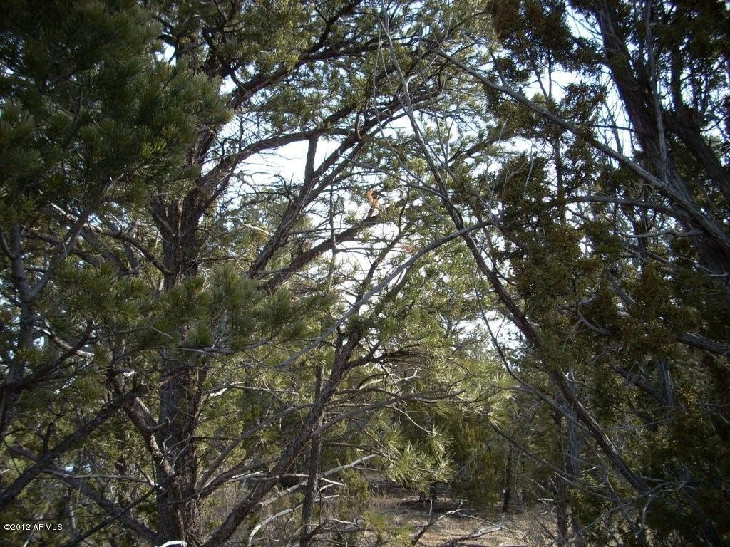 3329 Saw Mill Ridge Loop, Unit 102 Heber, AZ 85928 - Photo 4 of 11 4