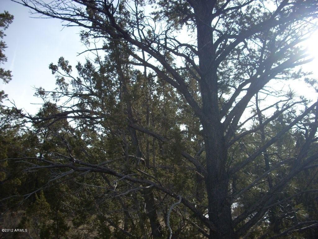 3329 Saw Mill Ridge Loop, Unit 102 Heber, AZ 85928 - Photo 5 of 11 5